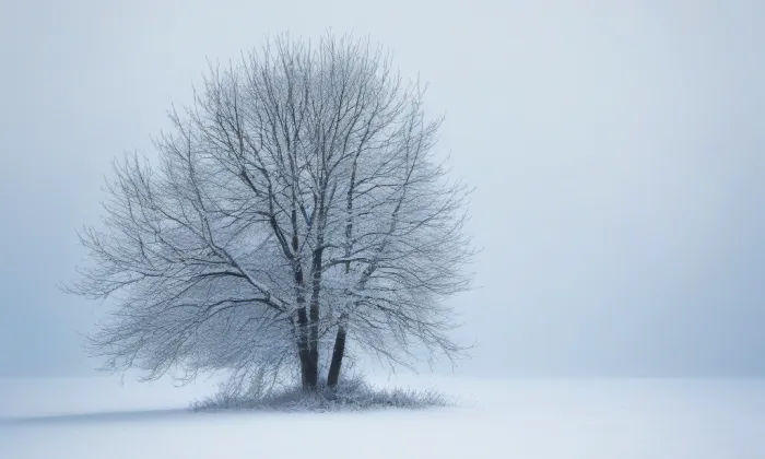 kaple Vzkříšení – winter