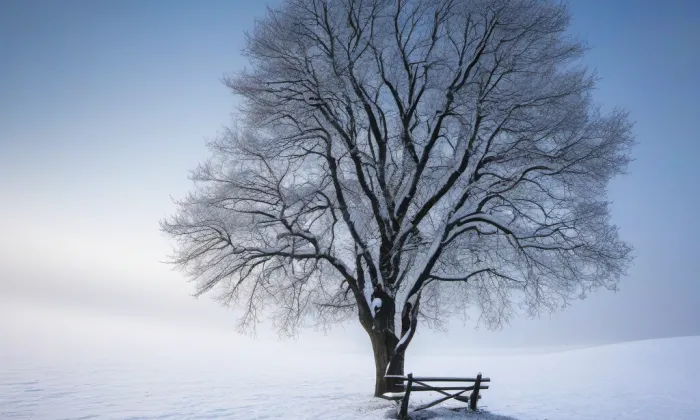 kaple Zvěstování Panny Marie – winter
