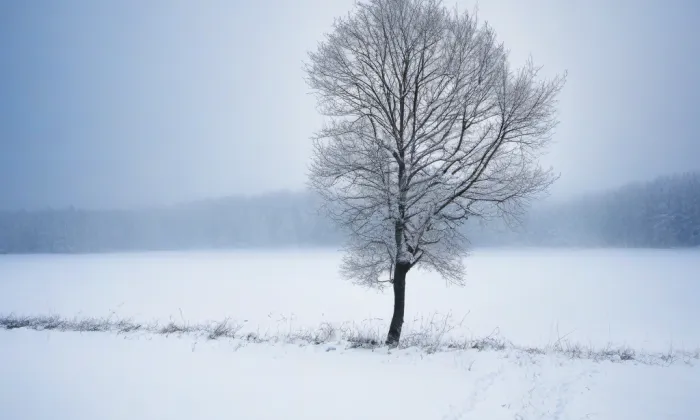kapucínský klášter (České Budějovice 1) – winter