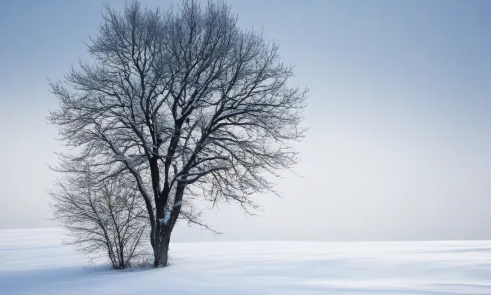 Kapucínský klášter (Kolín) – winter