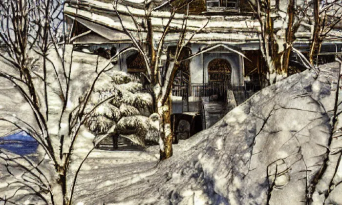 Kartuziánský klášter Vallis Josaphat – winter