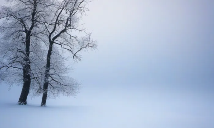Katedrála Božského Spasitele – winter