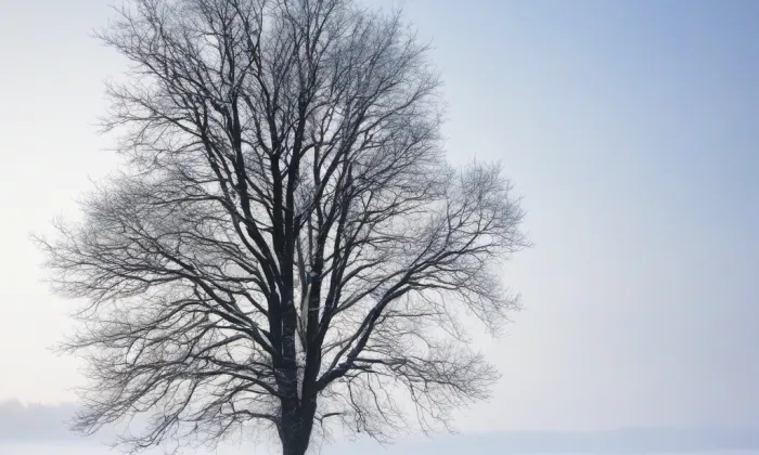 Klášter - prelatura – winter