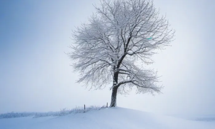 Klášter a nemocnice svaté Alžběty – winter