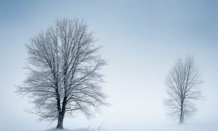 Klášter augustiniánů kanovníků (Fulnek) – winter