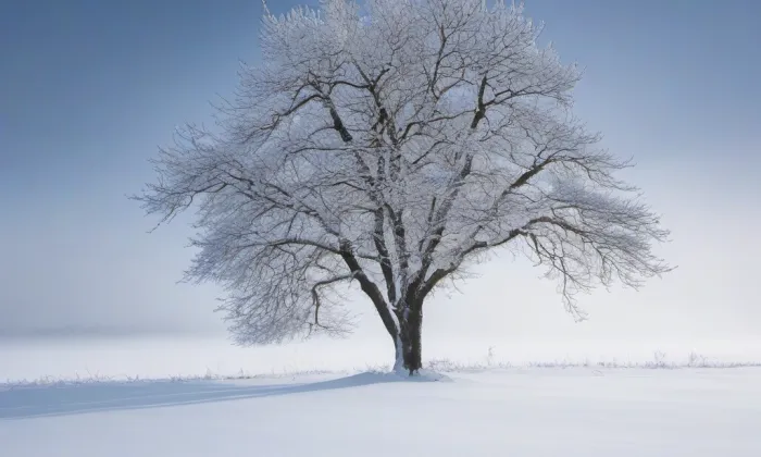 Klášter kartuziánů v Olomouci – winter
