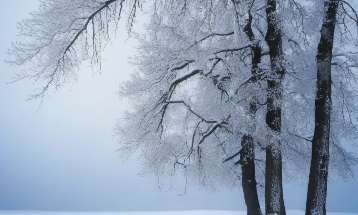 klášter Koruna Panny Marie – winter
