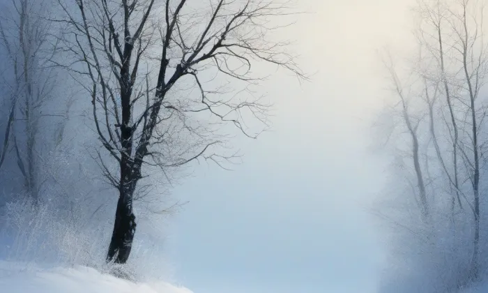 klášter milosrdných bratří (Letovice) – winter