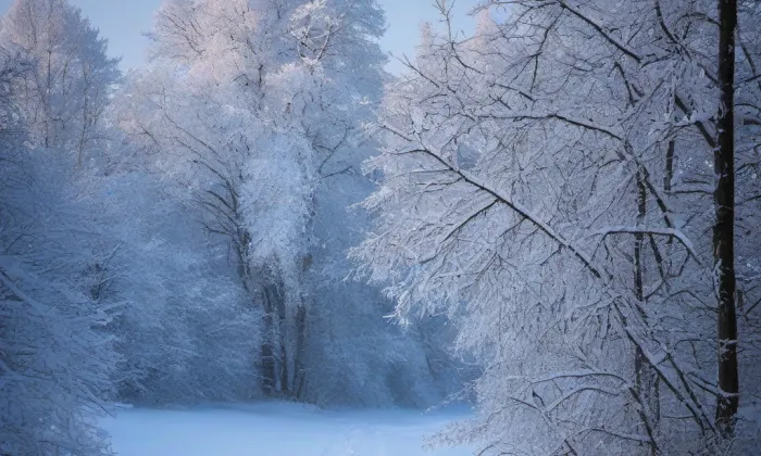 Klášter Milosrdných sester – winter