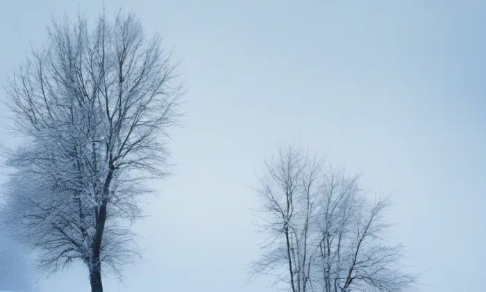 Klášter Ostrov – winter