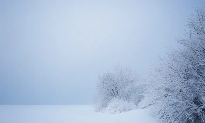 Klášter Sacré Coeur v Praze – winter