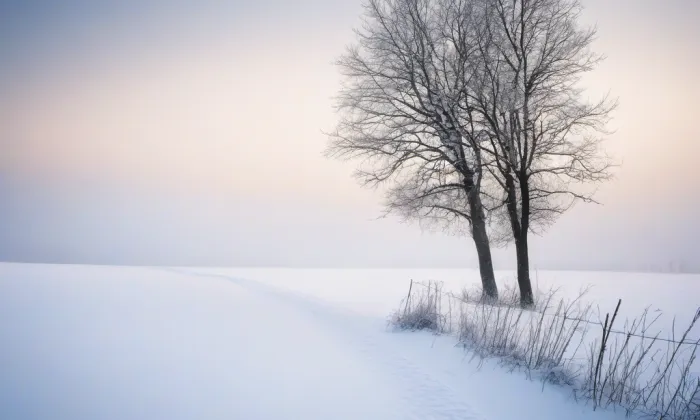 Klášter servitů (Rabštejn nad Střelou) – winter