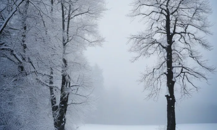 Klášter v Doubravníku – winter