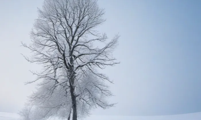 Klášter voršilek v Liberci – winter