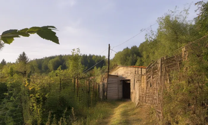 Klešter – summer