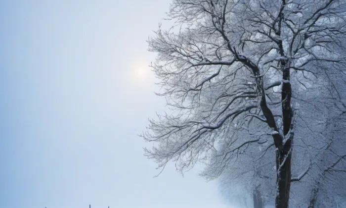 Košťálov (Jenčice) – winter