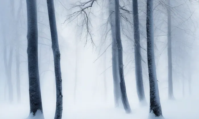 Koberštejn – winter