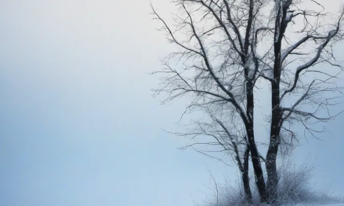 Kobyliská střelnice – winter