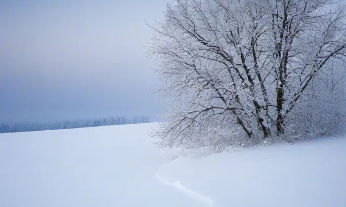 Kodaňská – winter