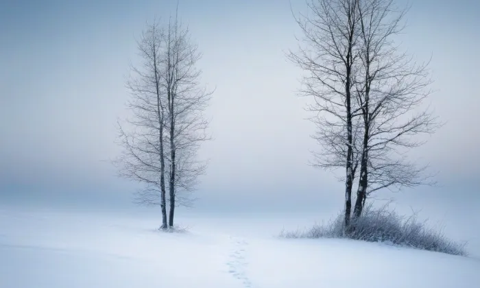 Kolonka – winter