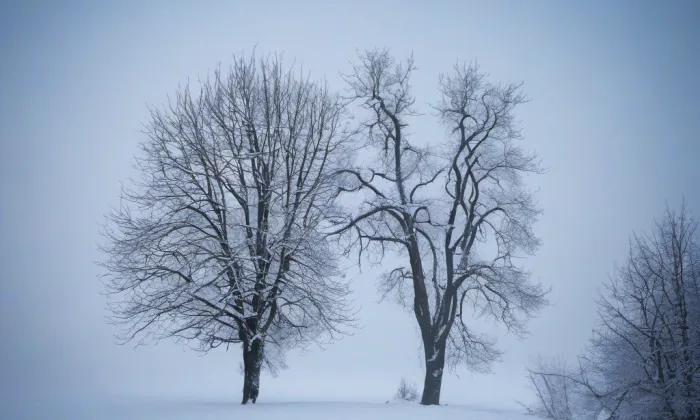 Komařice – winter