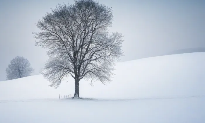 Komenda řádu německých rytířů – winter