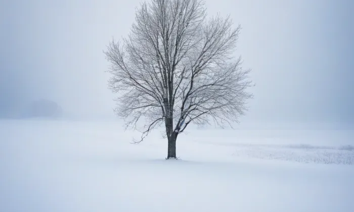 Komenda Český Dub – winter