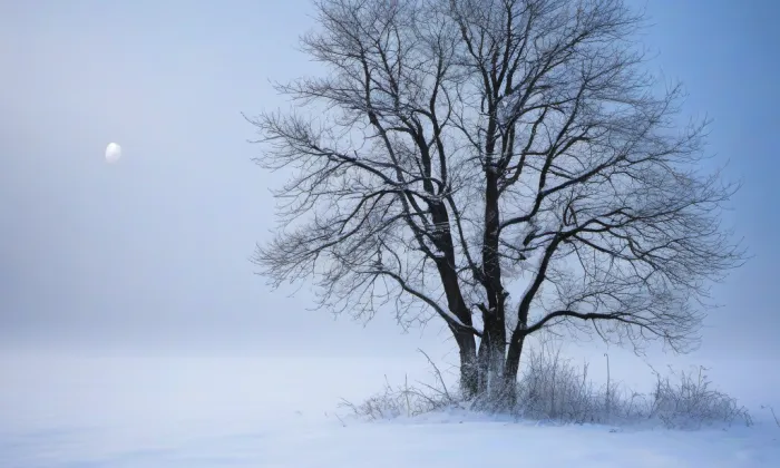 Konkatedrála Nanebevzetí Panny Marie – winter