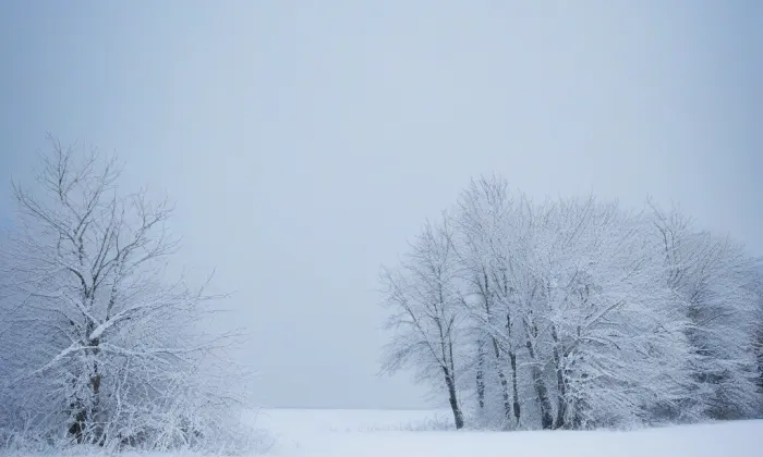 Konojedovský zámeček v Benešově nad Ploučnicí – winter