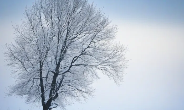 Korunní – winter