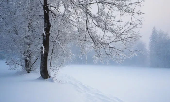 Kostel Archanděla Michaela (Hošťálkovy) – winter