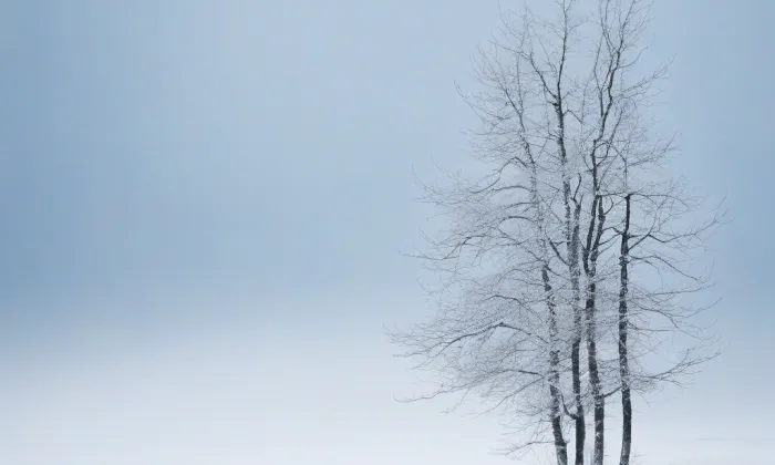 Kostel Božího Těla (Kraslice) – winter