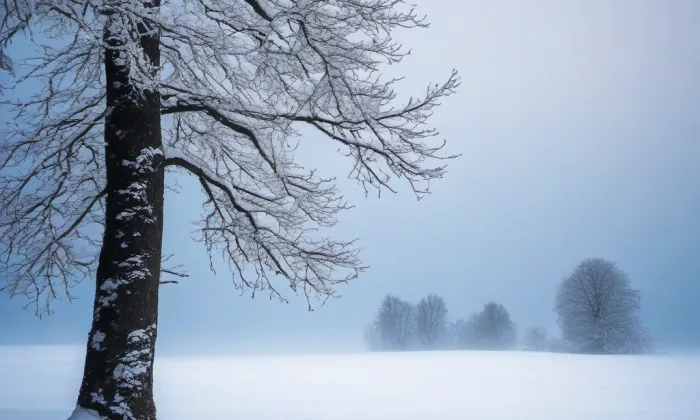 Kostel Božského srdce Páně (České Budějovice 3) – winter