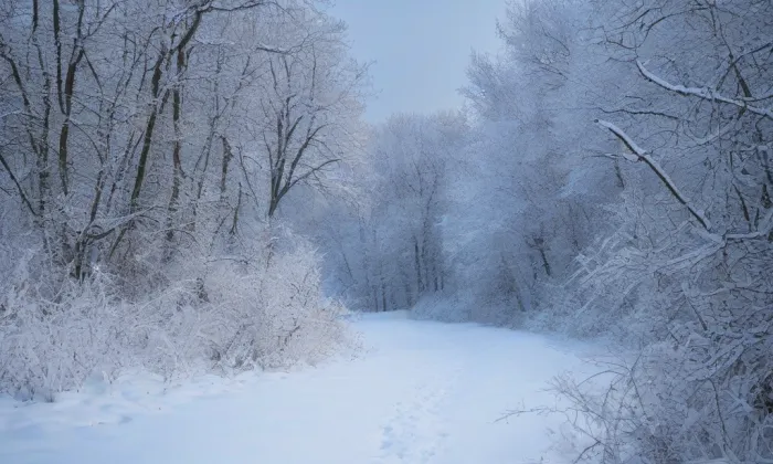 kostel Jana Amose Komenského – winter