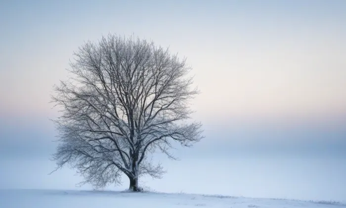 kostel Jména Panny Marie (Černá Voda) – winter