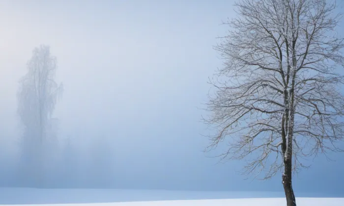 kostel Jména Panny Marie (Chyše) – winter