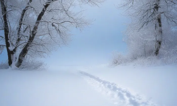 Kostel Jména Panny Marie (Děčín) – winter
