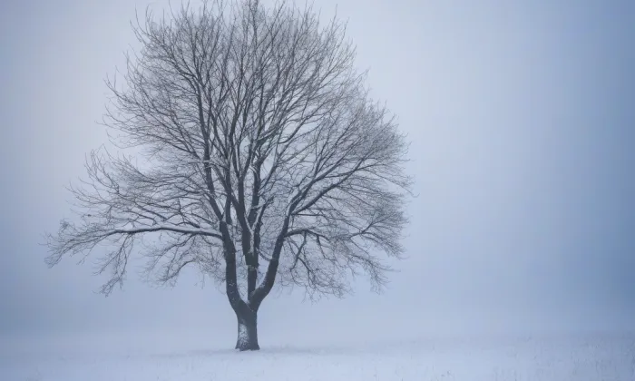 Kostel Nalezení svatého Kříže (Frýdlant) – winter