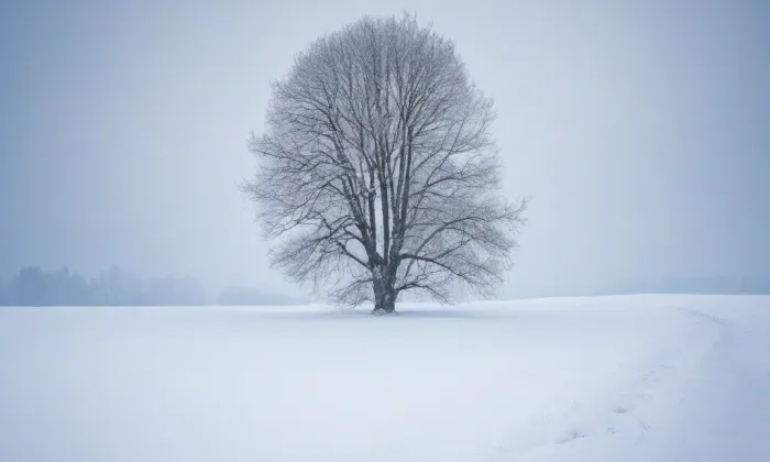 kostel Nanebevzetí Panny Marie (Březník) – winter