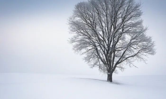 kostel Nanebevzetí Panny Marie (Benátky nad Jizerou II) – winter