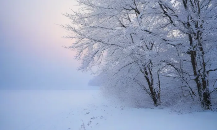 Kostel Nanebevzetí Panny Marie (Bezdědice) – winter