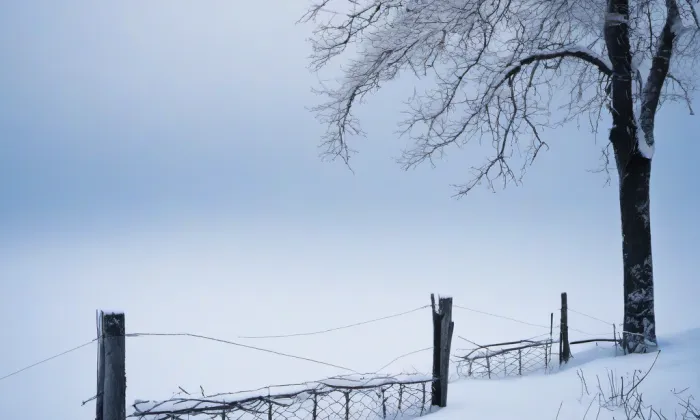 kostel Nanebevzetí Panny Marie (Bezdružice) – winter