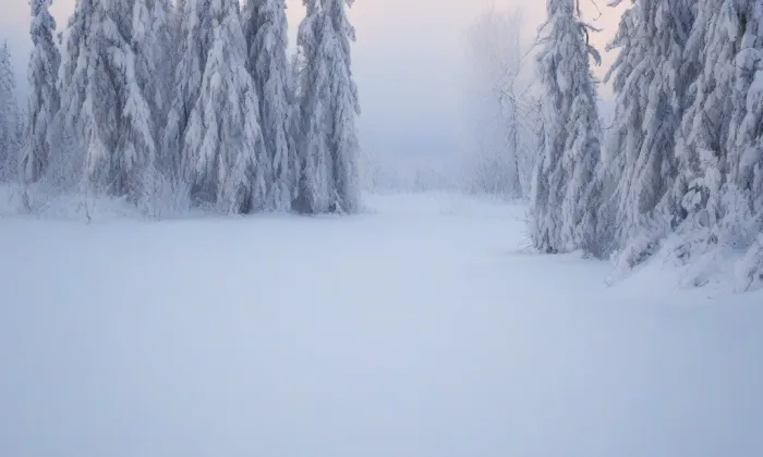 Kostel Nanebevzetí Panny Marie (Bošín) – winter