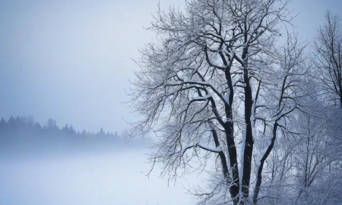 Kostel Nanebevzetí Panny Marie (Chotěšov) – winter