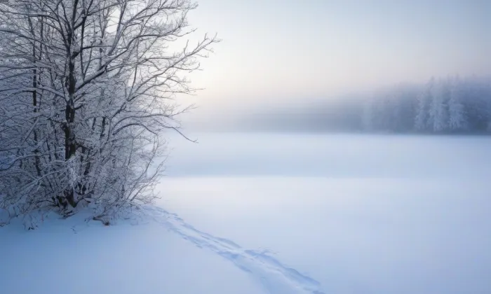 kostel Nanebevzetí Panny Marie (Dobrá Voda) – winter