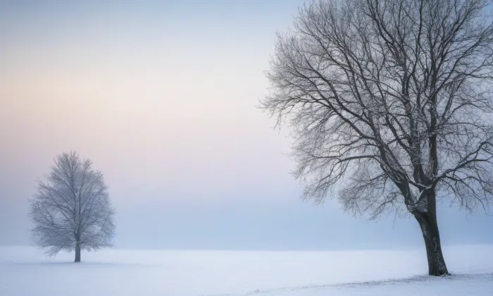 kostel Nanebevzetí Panny Marie (Dubné) – winter