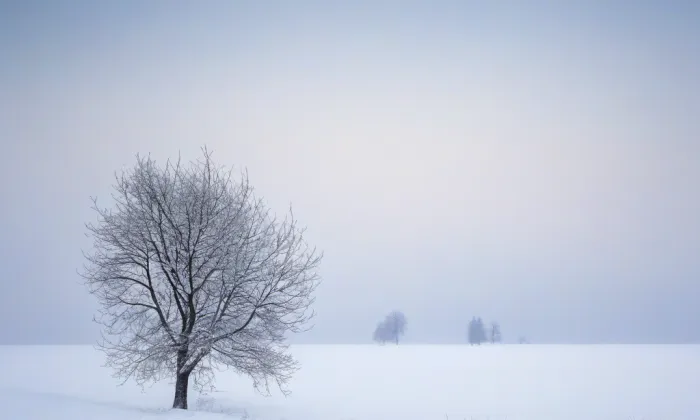 kostel Nanebevzetí Panny Marie (Kohoutov) – winter