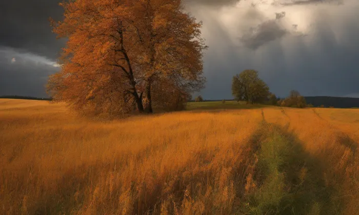 Kostel Nanebevzetí Panny Marie (Ročov) – autumn