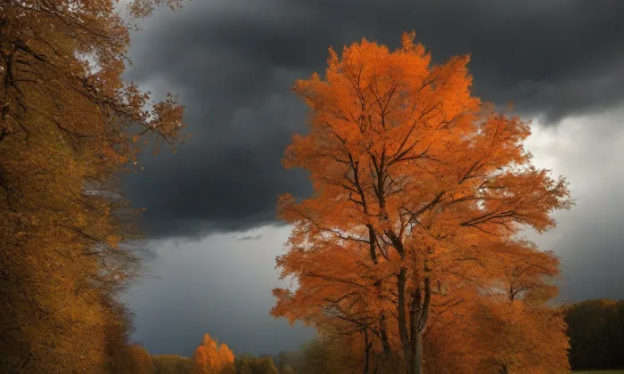Kostel Nanebevzetí Panny Marie (Slatiny) – autumn