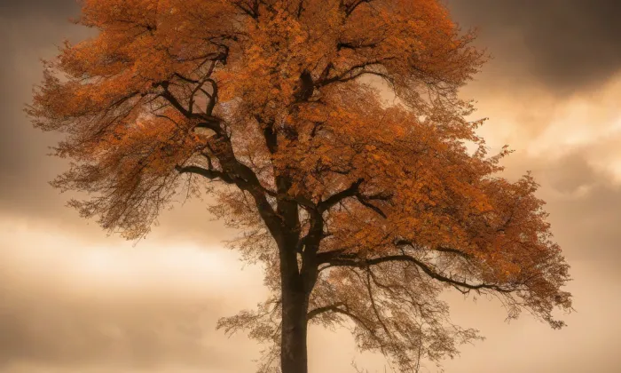 Kostel Narození Panny Marie v Benešově nad Ploučnicí – autumn